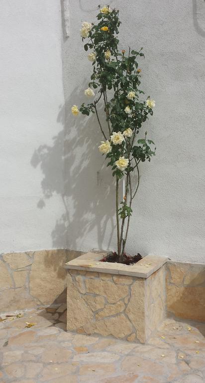 ספליט Nina Apartment חדר תמונה